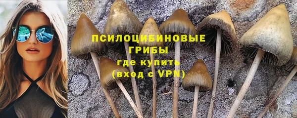 стаф Нягань
