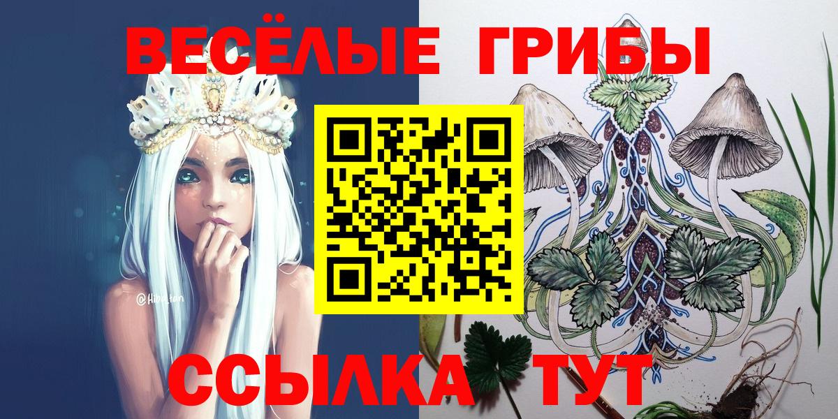 Псилоцибиновые грибы мухоморы Унеча