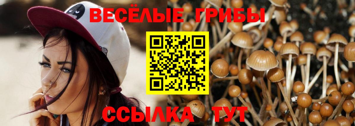 Галлюциногенные грибы мицелий  Вход с VPN  Унеча 